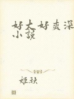 好大好爽深一点小说