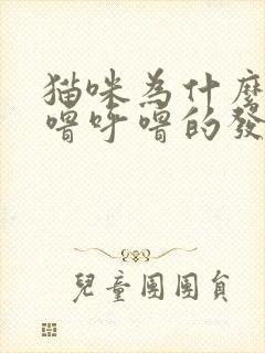 猫咪为什么会呼噜呼噜的发出声音