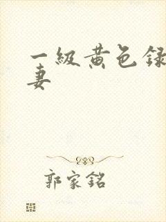 一级黄色录像夫妻