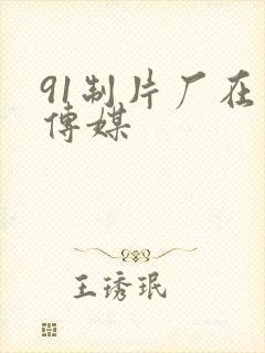 91制片厂在线传媒