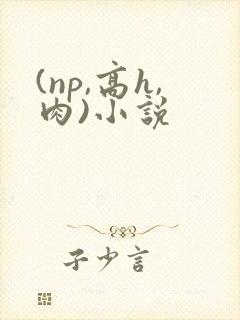 (np,高h,肉)小说