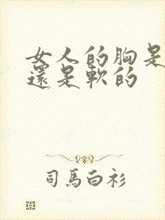 女人的胸是硬的还是软的