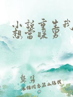 小说重生我真没想当暖男