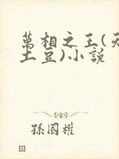 万相之王(天蚕土豆)小说