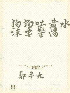 狗狗吐黄水带泡沫要警惕