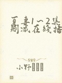 夏妻1～2集无删减在线播放