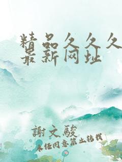 精品久久久久久最新网址