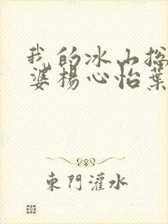 我的冰山总裁老婆杨心怡叶雄