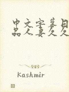 中文字幕日韩精品人妻久久久