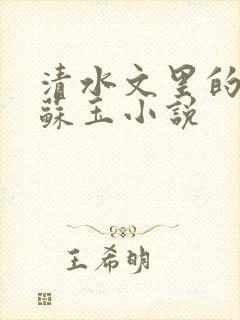 清水文里的女主苏玉小说