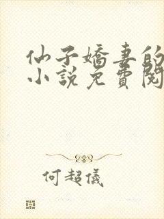 仙子娇妻的坐莲小说免费阅读