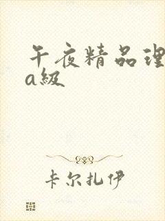 午夜精品理论片a级