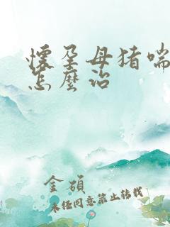 怀孕母猪喘气粗怎么治