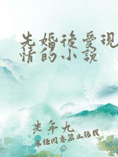 先婚后爱现代言情的小说