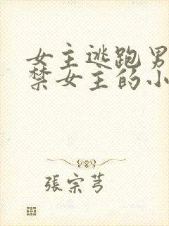 女主逃跑男主囚禁女主的小说