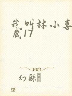 我叫林小喜今年岁17