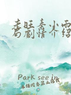 老旺秦小雨大结局剧情介绍