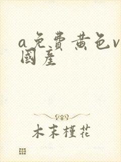 a免费黄色v片国产