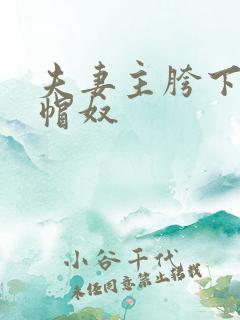 夫妻主胯下的绿帽奴