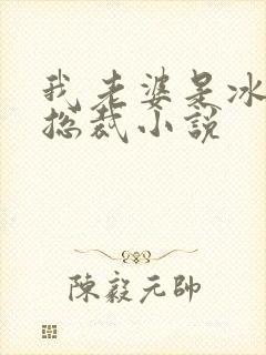 我老婆是冰山女总裁小说