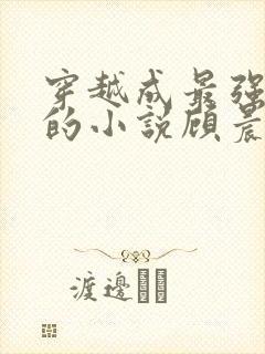 穿越成最强律师的小说顾晨