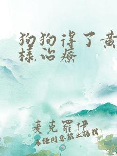 狗狗得了黄疸怎样治疗