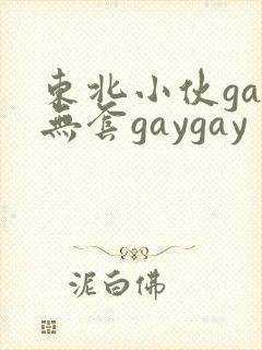 东北小伙gay无套gaygay