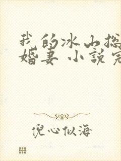 我的冰山总裁未婚妻 小说完整板