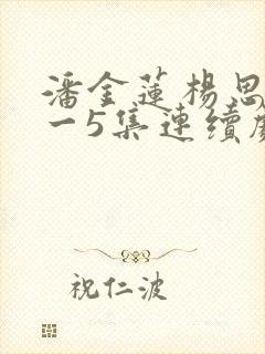 潘金莲杨思敏1一5集连续剧