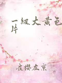 一级大黄色录像片