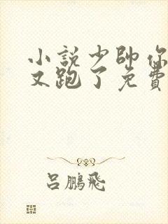 小说少帅你老婆又跑了免费阅读