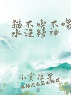 猫不吃不喝吐黄水没精神