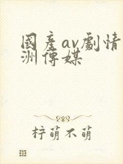 国产av剧情亚洲传媒