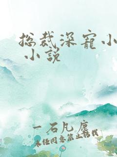 总裁深宠小甜妻 小说