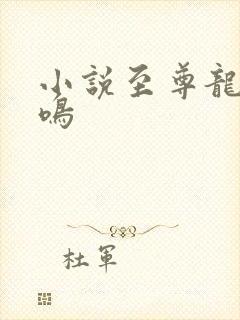 小说至尊龙帝陆鸣