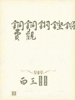 铜铜钢铿锵锵免费观