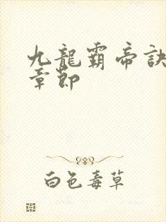 九龙霸帝诀最新章节