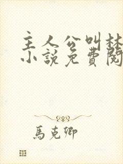 主人公叫林天的小说免费阅读都市之