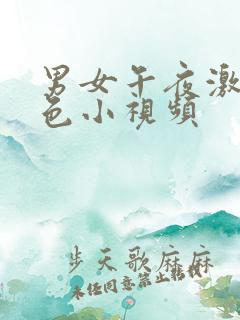 男女午夜激情黄色小视频