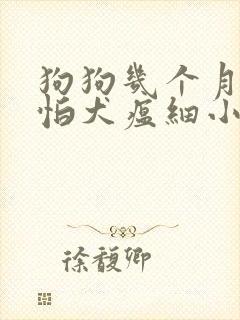 狗狗几个月就不怕犬瘟细小了