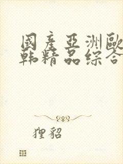 国产亚洲欧美日韩精品综合在线