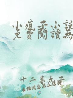 小疯子小说全文免费阅读无弹窗