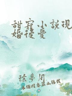 甜宠小说现言先婚后爱