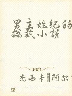 男主姓纪的霸道总裁小说