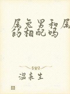 属兔男和属龙女的相配吗