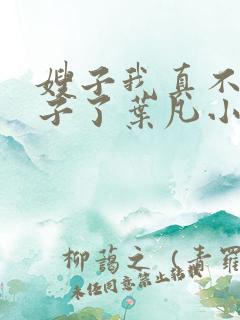 嫂子我真不是傻子了叶凡小说完本