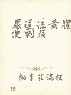 尿道流黄脓 小便刺痛