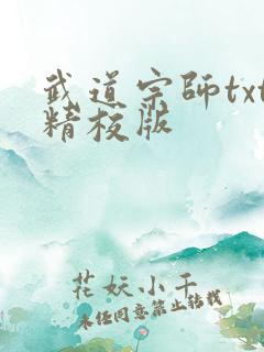 武道宗师txt精校版