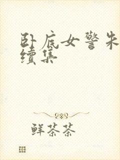 卧底女警朱万富续集