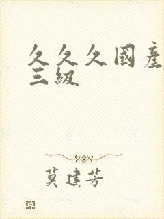 久久久国产精品三级